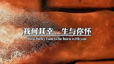 沪江开心词场